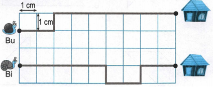 Vở bài tập Toán lớp 2 trang 98, 99 Bài 26 Tiết 2 – Kết nối tri thức (ảnh 1)