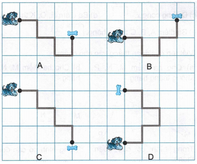 Vở bài tập Toán lớp 2 trang 102, 103 Bài 27 Tiết 2 – Kết nối tri thức (ảnh 1)