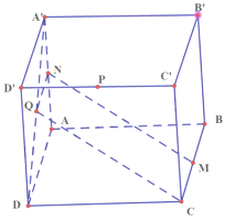 Toán 11 tập 1 trang 113 Bài 5: Hình lăng trụ và hình hộp