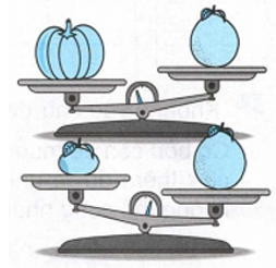 Vở bài tập Toán lớp 2 trang 129, 130 Bài 35 Tiết 1 – Kết nối tri thức (ảnh 1)