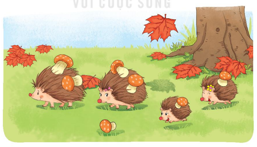 Bài 3: Nhiều hơn, ít hơn, bằng nhau Toán lớp 1 trang 20 