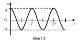 Bài 1. Mô tả dao động trang 4 SBT Vật lí 11 Chân trời sáng tạo
