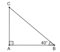 Bài 1: Tỉ số lượng giác của góc nhọn Toán lớp 9 tập 1

