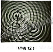 Bài 12. Giao thoa sóng trang 23, 24, 25 SBT Vật lí 11 Kết nối tri thức