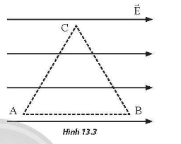 Bài 13 Điện thế và thế năng điện trang 48 SBT Vật lí 11 Chân trời sáng tạo
