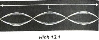 Bài 13. Sóng dừng trang 25, 26 SBT Vật lí 11 Kết nối tri thức
