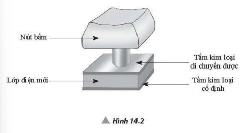 Bài 14 Tụ điện trang 53, 54, 55, 56 SBT Vật lí 11 Chân trời sáng tạo 