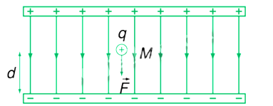 Bài 17. Khái niệm điện trường trang 31, 32, 33, 34 SBT Vật lí 11 Kết nối tri thức