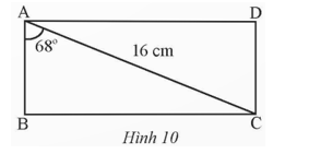 Bài 2: Hệ thức giữa cạnh và góc của tam giác vuông Toán lớp 9 tập 1
