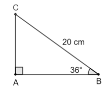 Bài 2: Hệ thức giữa cạnh và góc của tam giác vuông Toán lớp 9 tập 1
