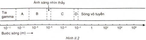 Bài tập cuối chương 2 trang 27, 28, 29 SBT Vật lí 11 Kết nối tri thức
