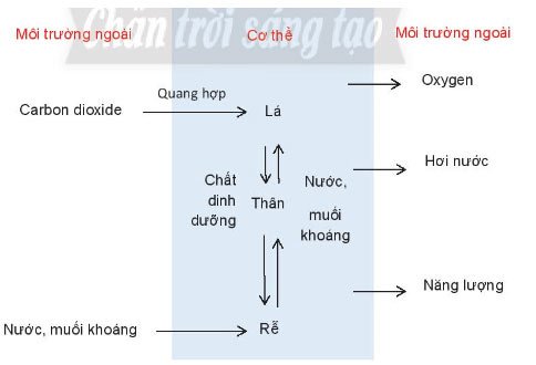 ình 39.2 Bài 39: Chứng minh cơ thể sinh vật là một thể thống nhất
