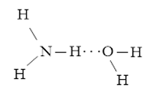 Giải Hóa 10 Bài 12: Liên kết hydrogen và tương tác Van Der Waals - Cánh diều (ảnh 1)