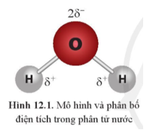 Giải Hóa 10 Bài 12: Liên kết hydrogen và tương tác Van Der Waals - Cánh diều (ảnh 1)