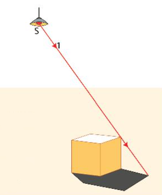 Luyện tập 3 trang 80 KHTN 7 CTST