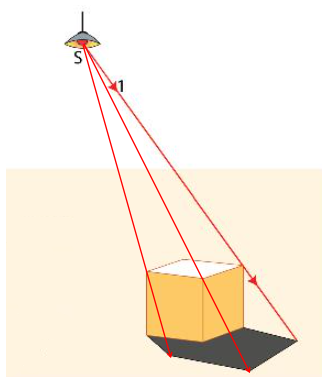 Luyện tập 3 trang 80 KHTN 7 CTST