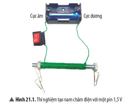 Câu hỏi thảo luận 2 trang 102 KHTN lớp 7