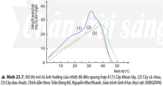 Giải khoa học tự nhiên 7 Bài 23: Quang hợp ở thực vật
