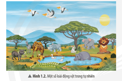 Giải khoa học tự nhiên 7 Bài 1: Phương pháp và kĩ năng học tập môn Khoa học tự nhiên
