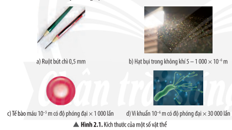 Hình 2.1 SGK Khoa học tự nhiên 7 Chân trời sáng tạo