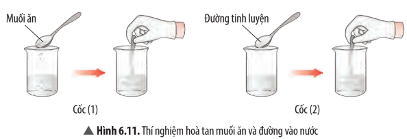 Hình 6.11 Khoa học tự nhiên 7 CTST