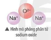 Bài 1 trang 44 KHTN 7 CTST
