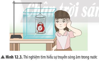 Giải khoa học tự nhiên 7 Bài 12: Mô tả sóng âm
