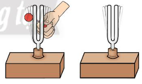 Giải khoa học tự nhiên 7 Bài 12: Mô tả sóng âm
