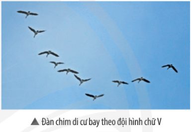 Giải khoa học tự nhiên 7 Bài 1: Phương pháp và kĩ năng học tập môn Khoa học tự nhiên
