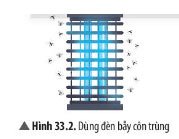 Khoa học tự nhiên 7 Bài 33: Tập tính ở động vật
