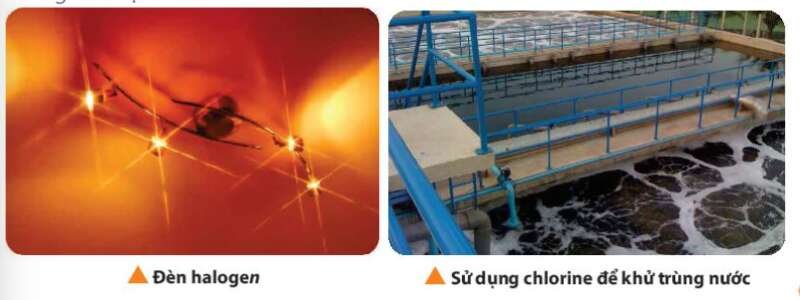  (ảnh 1) Giải sgk Hoá học 10 bài 17: Tính chất vật lí và hóa học các đơn chất nhóm VIIA
