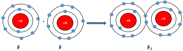 Sự hình thành phân tử Flo Giải sgk Hoá học 10 bài 8: Quy tắc Octet