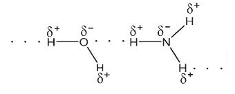 Giải sgk Hoá học 10 bài 11: Liên kết hydrogen và tương tác Van der Waals
